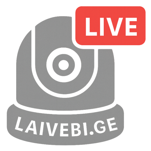 Laivebi Project